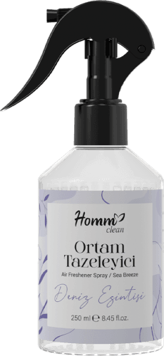 HOMM CLEAN DENİZ ESİNTİSİ KOKULU ORTAM TAZELEYİCİ 250ML